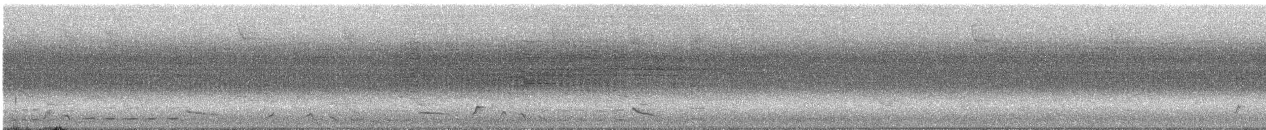 Rufous-and-white Wren - ML641426921