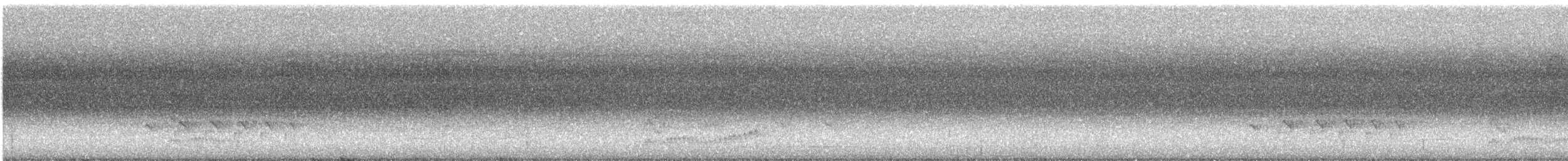 Dusky Antbird - ML641427038