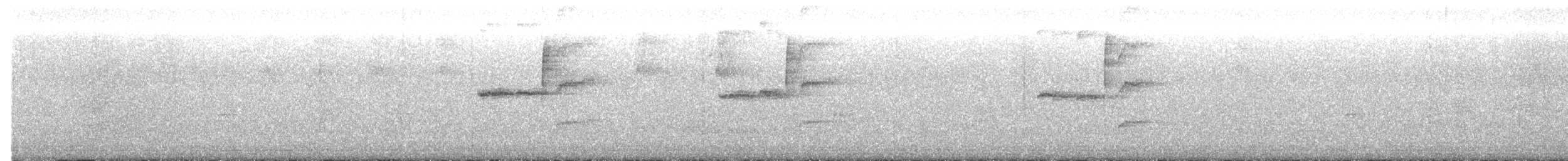 Copper-rumped Hummingbird - ML641427693