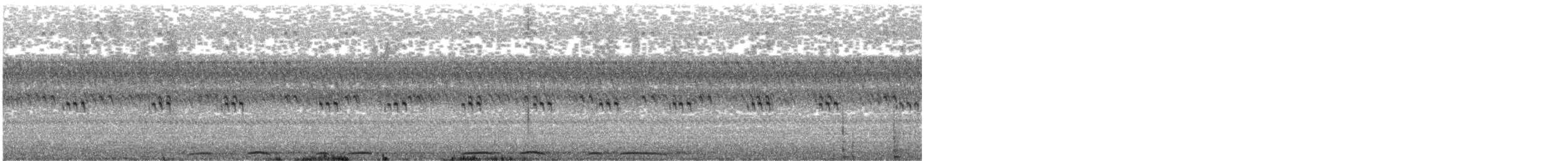 Barred Owl - ML641429596