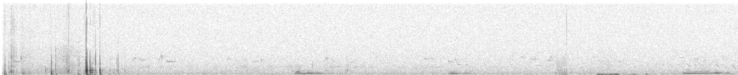 Red-billed Spurfowl - ML641431037