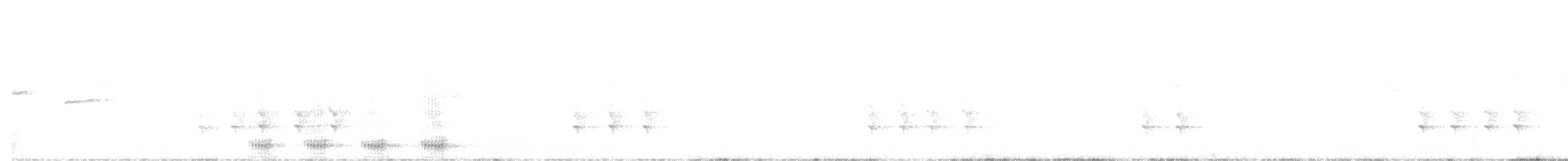 Шишкар ялиновий (підвид corsicana) - ML641431504