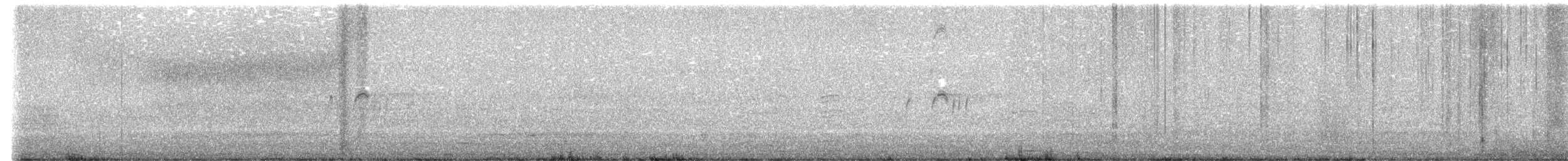 ハイイロタイランチョウ - ML641431720