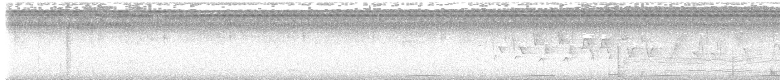 Common Ground Dove - ML641431871
