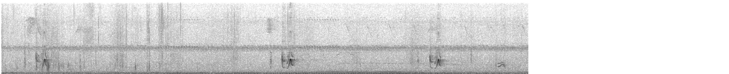 Troglodyte à long bec - ML641434258
