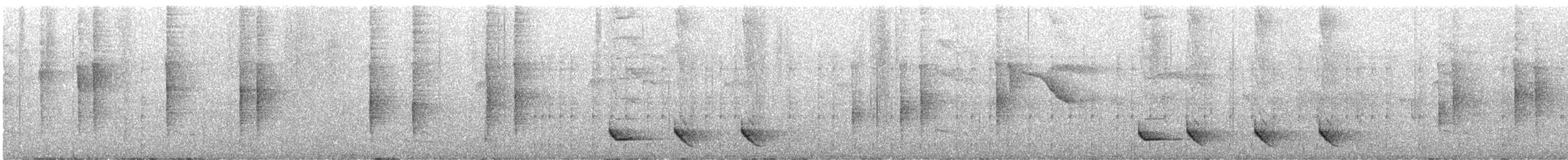 Troglodyte à long bec - ML641434377