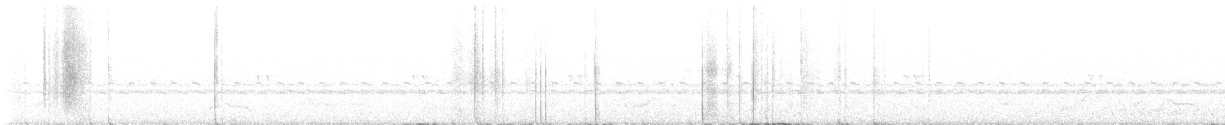 Common Pauraque - ML641435030