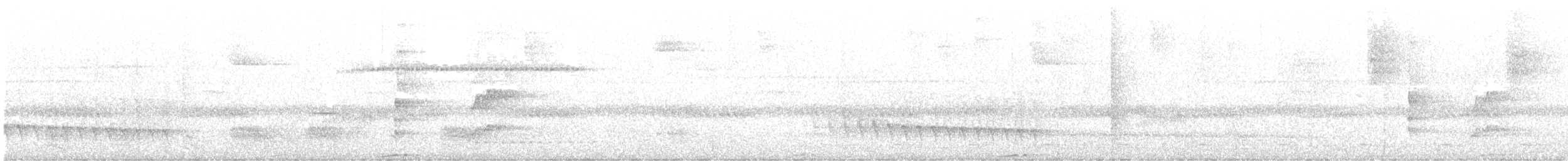 Myrmidon à flancs blancs - ML641435329
