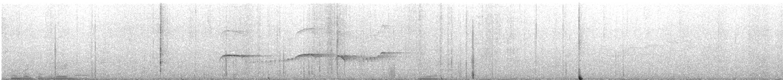 Southern Antpipit - ML641435500