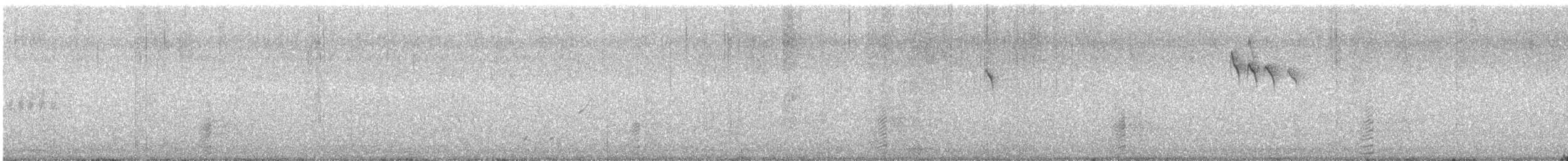 Alzavola - ML641437035