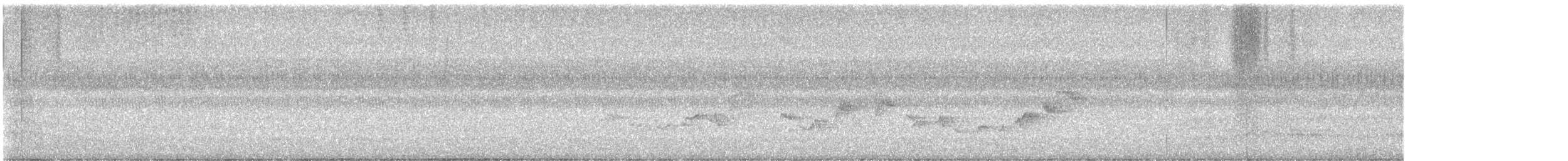 Warbling Vireo - ML641439903