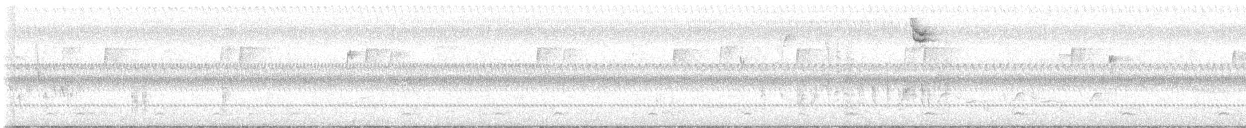Northern House Wren - ML641440206
