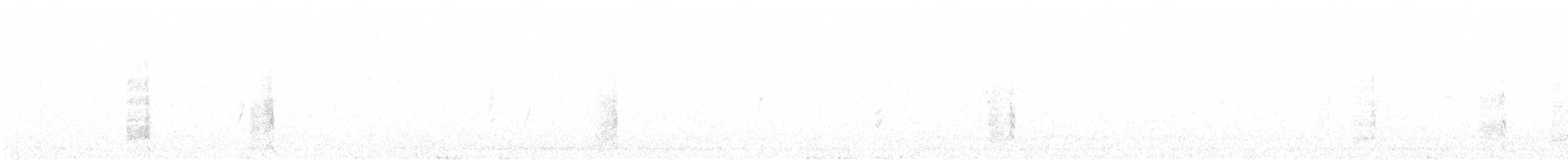 Beccaccino - ML641440402