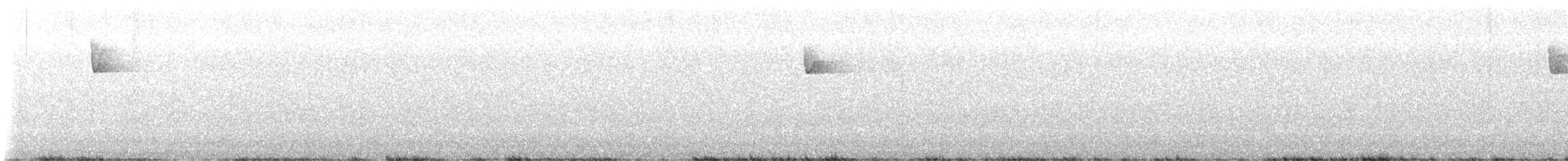 キメジロハエトリ - ML641440470