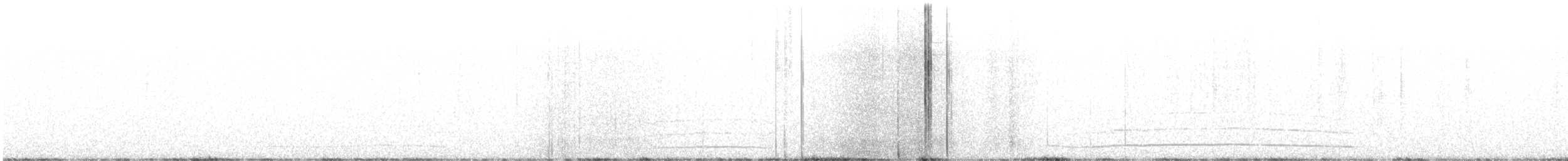 owl sp. - ML641442080