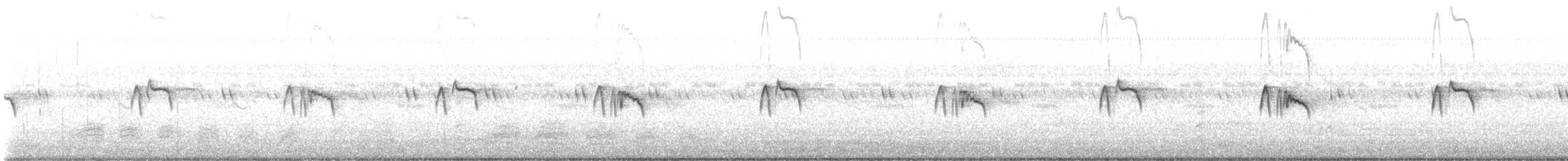 Black Phoebe (Northern) - ML641442579