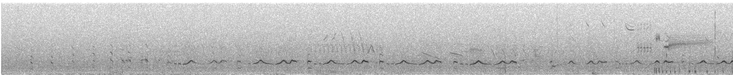 ハジロオオシギ（inornata） - ML641442971