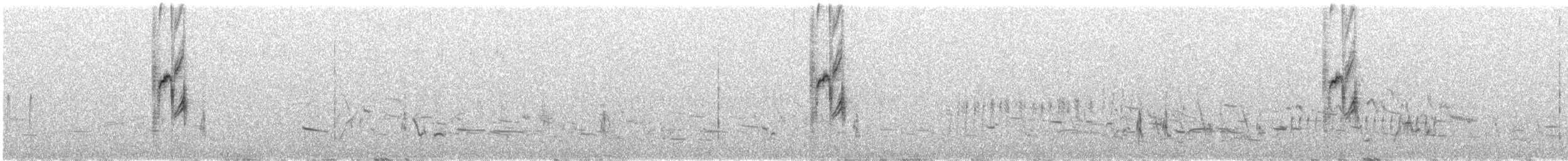 Brewer's Blackbird - ML641443704