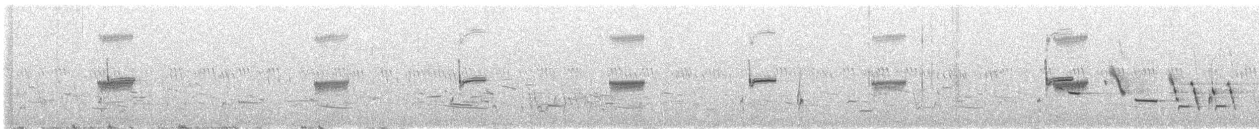 Louisianawürger - ML641446203
