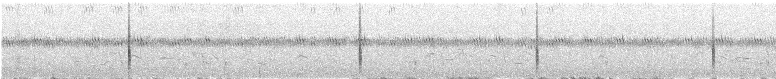 Brewer's Blackbird - ML641446535