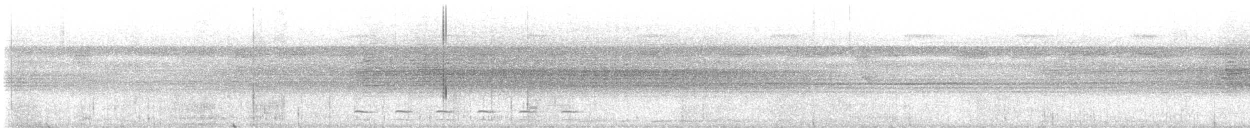 White-shouldered Antshrike - ML641446578