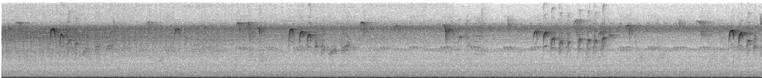 Carolina Chickadee - ML641447043