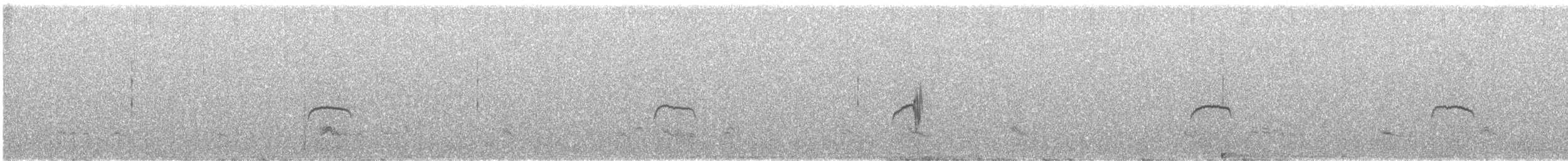 Moucherolle gris - ML641447111