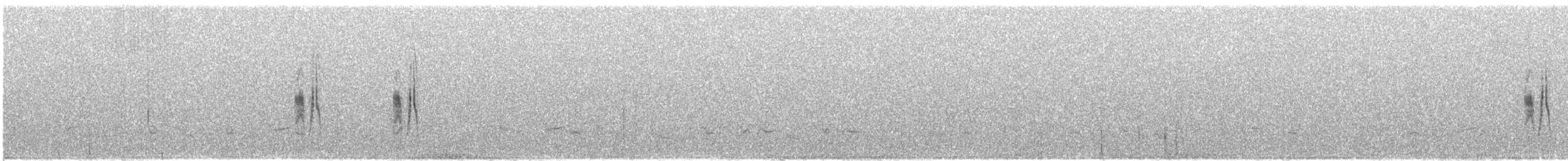 Moucherolle gris - ML641447410