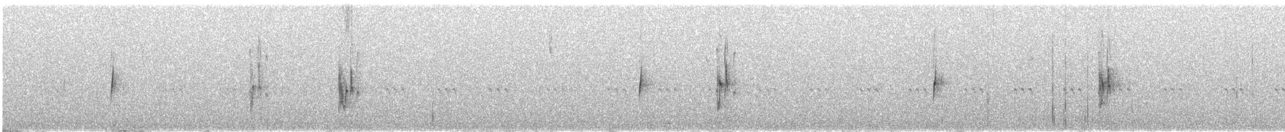 Moucherolle gris - ML641448005