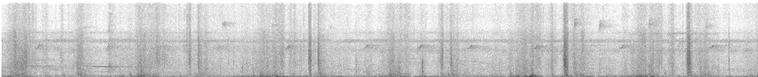 Slaty-backed Forest-Falcon - ML641448012
