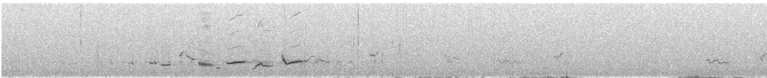 Scott's Oriole - ML641448075