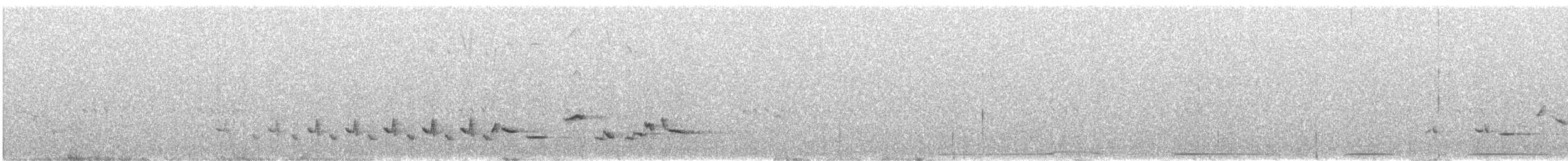 Scott's Oriole - ML641448076