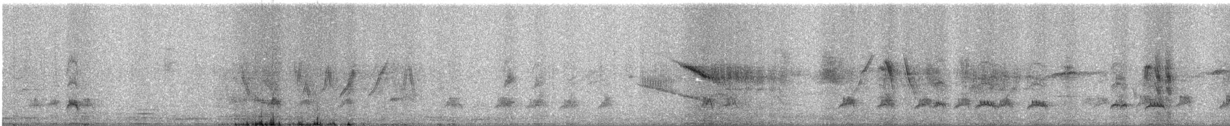 Шарга зөгийч - ML641448582
