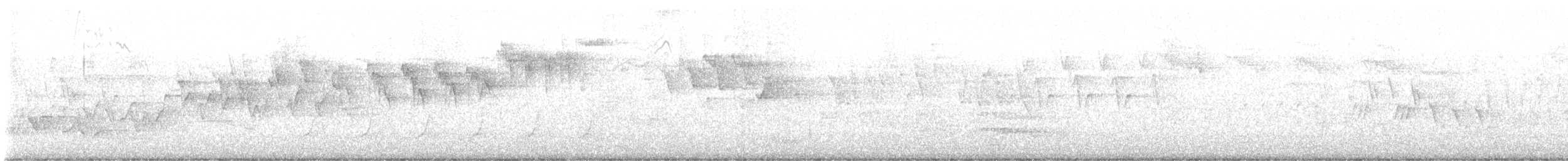 Blackburnian Warbler - ML641449749