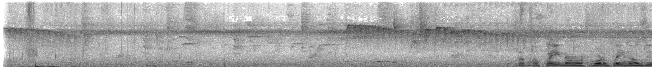 Northern Plain-Xenops - ML641449790