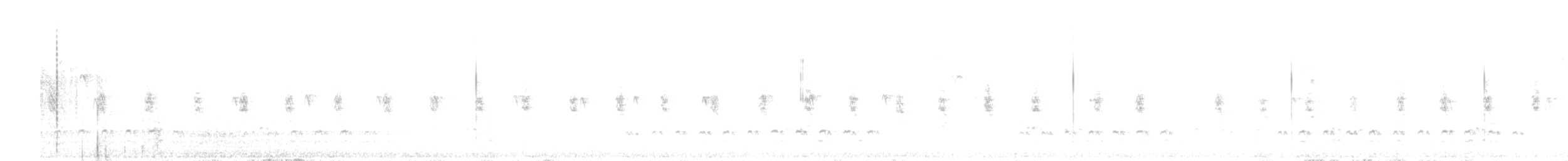 White-breasted Nuthatch (Interior West) - ML641455840