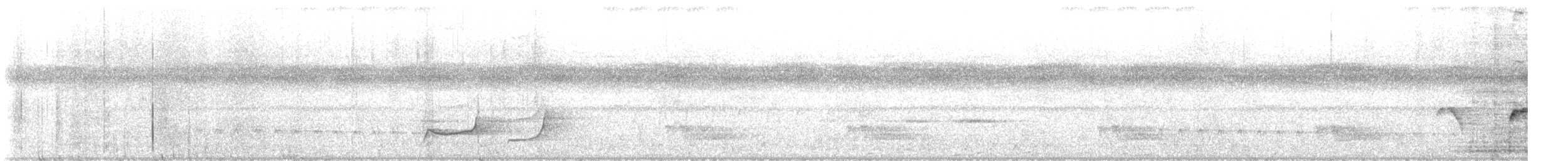 Myrmidon à flancs blancs - ML641455939