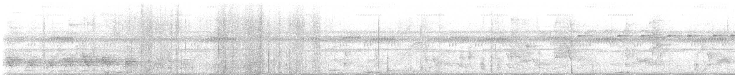 hvitpanneklarisse - ML641456085