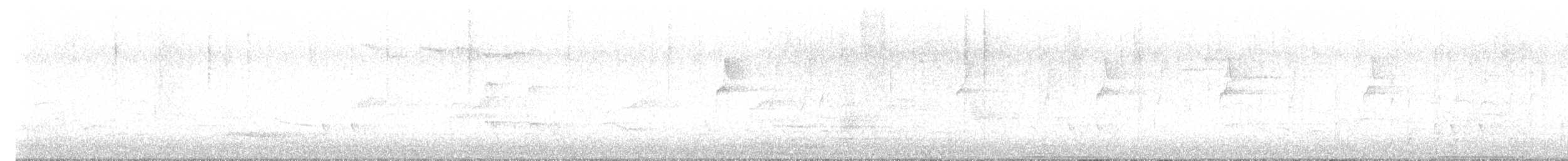 Common Bronzewing - ML641458190