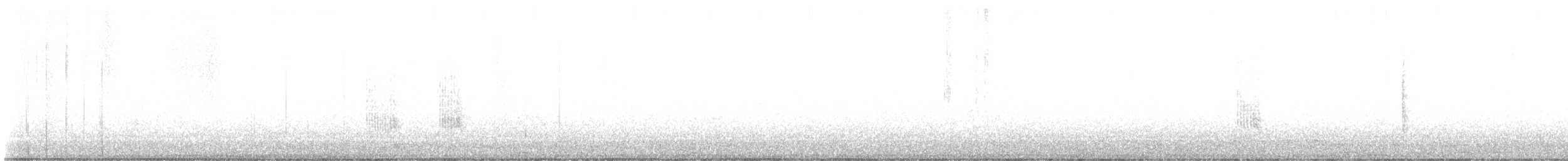 Southern House Wren - ML641459143