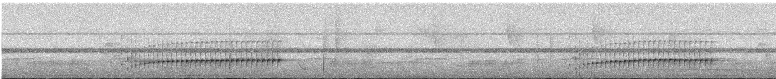 Long-billed Gnatwren - ML641459807