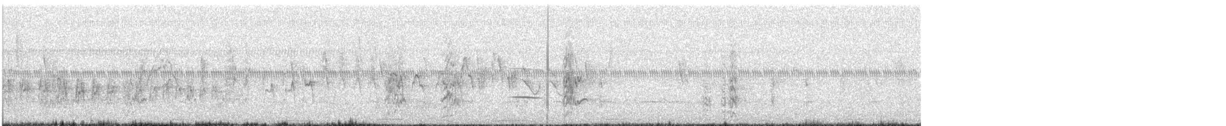 Streifenkuckuck - ML641459998