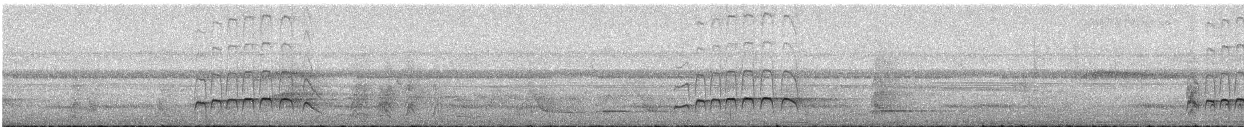 Sibilant Sirystes - ML641460062