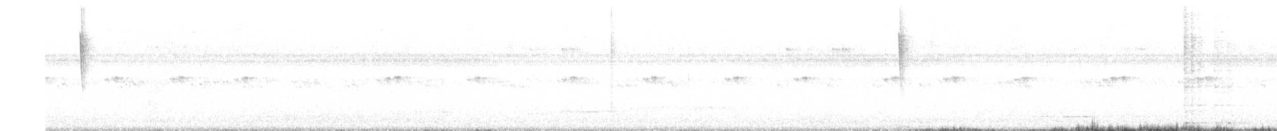 Calliope Hummingbird - ML641460687