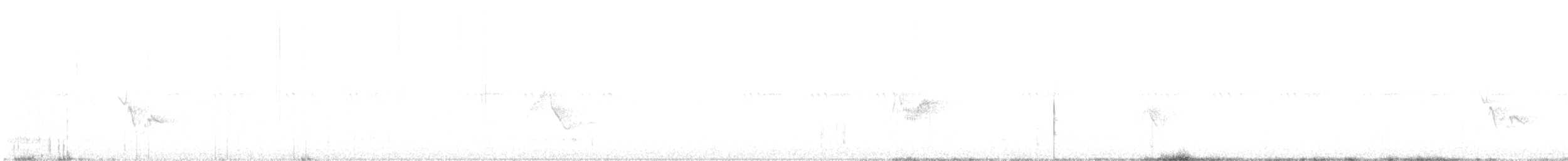 Cassin's Vireo - ML641461164