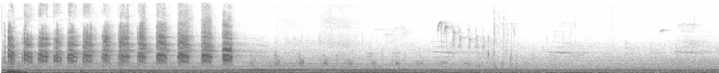 chřástal atlantický - ML641462109