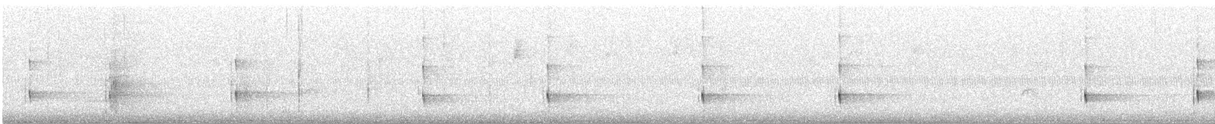 Black-backed Woodpecker - ML641462372