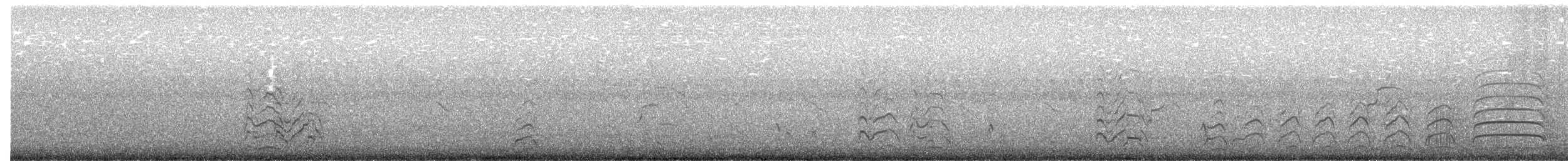 racek karibský - ML641462993