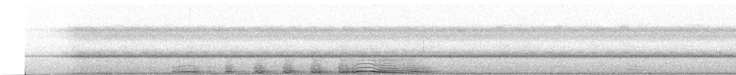 Barred Owl - ML641463209