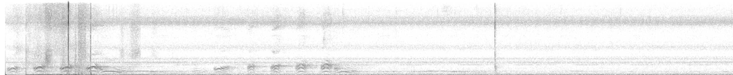 Barred Owl - ML641463692